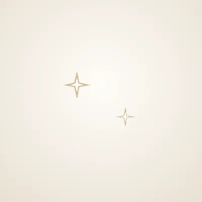 Stud Earrings